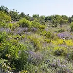 Hilltop Vidovici 아파트 *