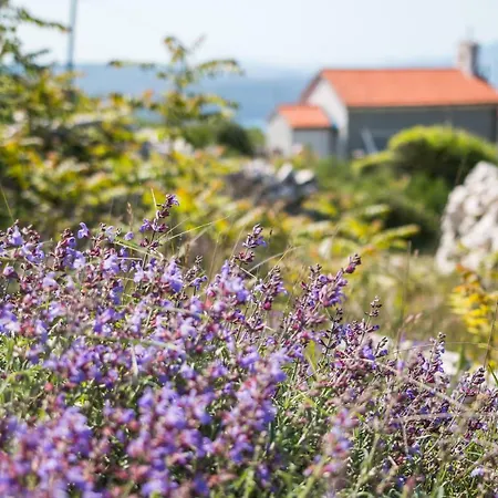 Apartamento Hilltop Vidovici Vidovic