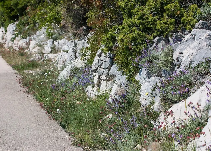 Διαμέρισμα Hilltop Vidovici
