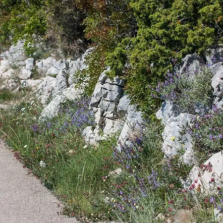 Apartamento Hilltop Vidovici